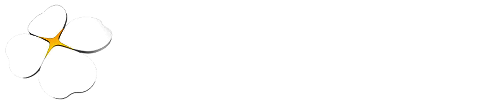 missing_logo